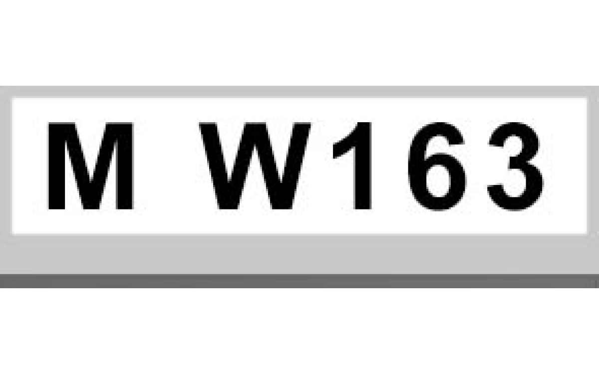 M W163