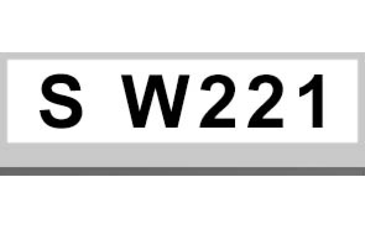 S W221