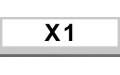 X1 (5)