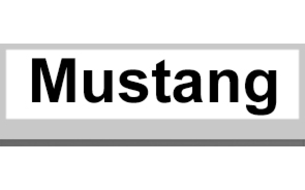 Mustang 野馬 Mustang 野馬