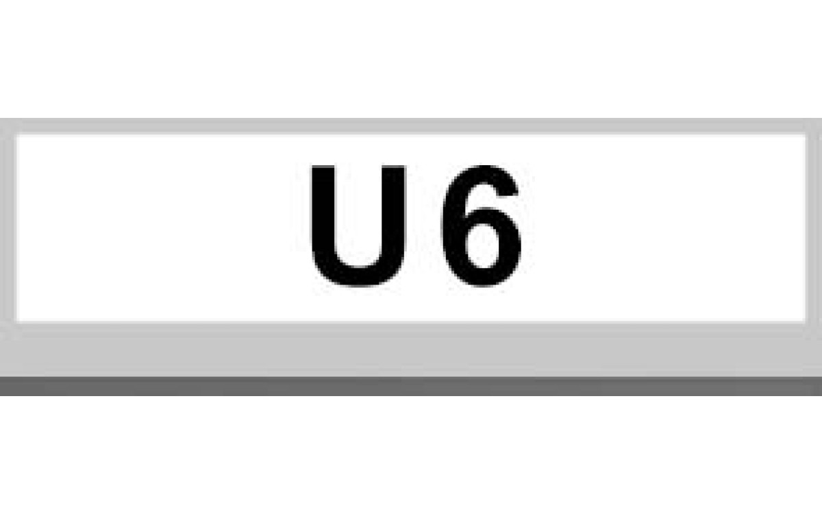 U6 U6