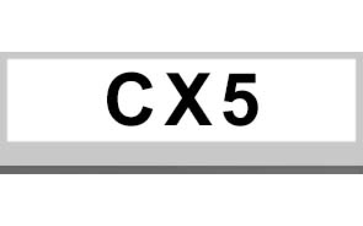 CX5 CX5