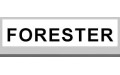 FORESTER (15) FORESTER (15)