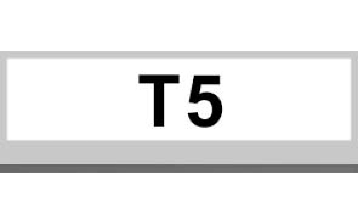 T5